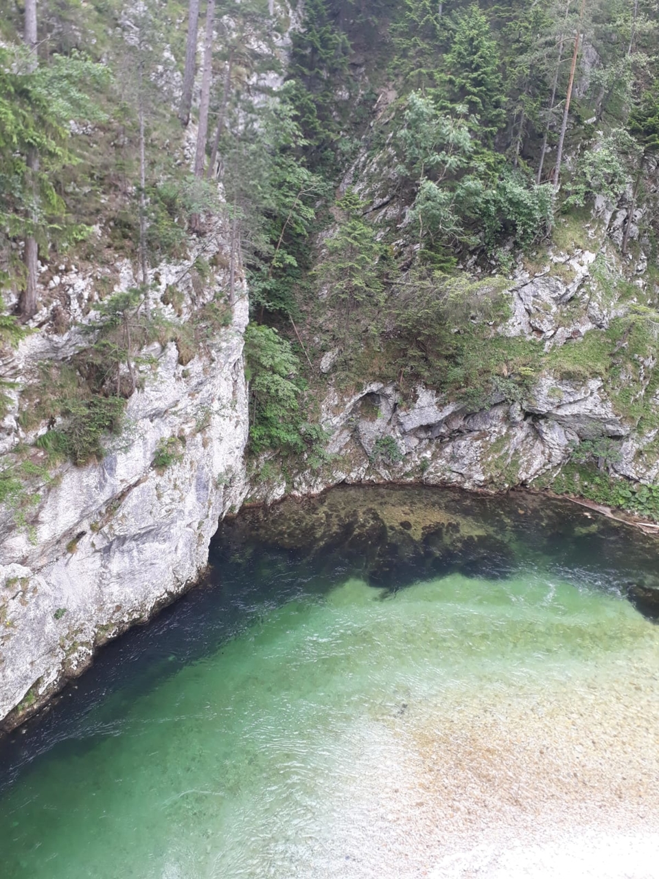 whatsapp image 2019-06-16 at 19.34.00(2)